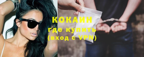 прущие грибы Абинск