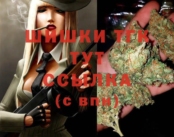 прущие грибы Абинск