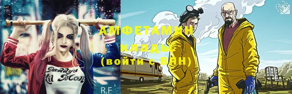 прущие грибы Абинск