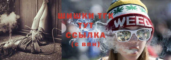 прущие грибы Абинск