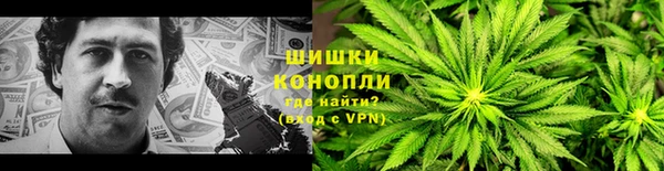 прущие грибы Абинск