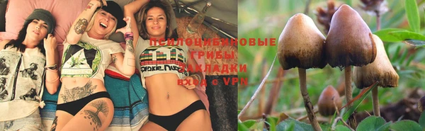 ешки Абдулино