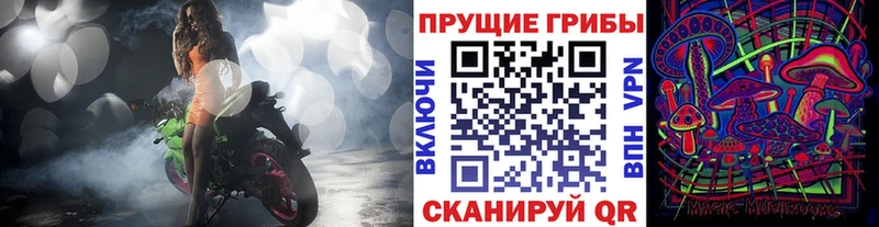 как найти наркотики  Кандалакша  Галлюциногенные грибы ЛСД 