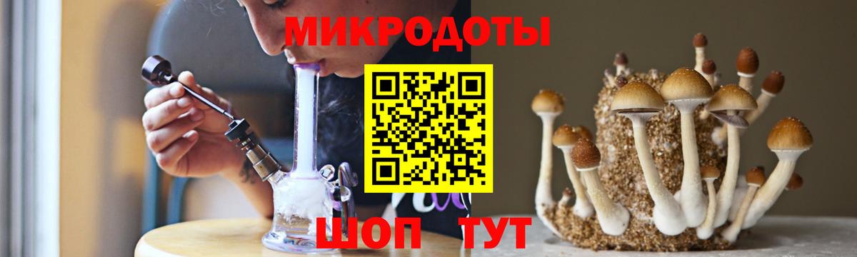 Псилоцибиновые грибы MAGIC MUSHROOMS  Вход с VPN  Кандалакша  Псилоцибиновые грибы мухоморы 